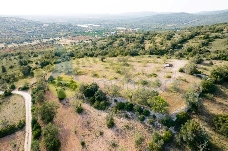 Terreno Agricola ou Rústico para Venda em Paderne Foto 19