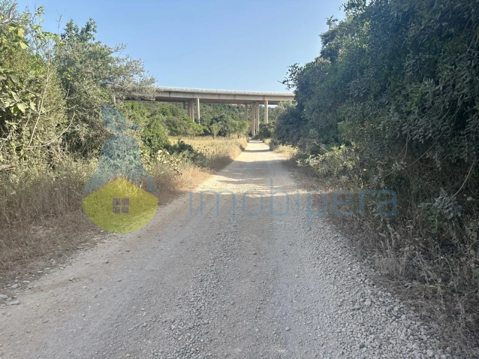 Terreno Agricola ou Rústico para Venda em Paderne Foto 6