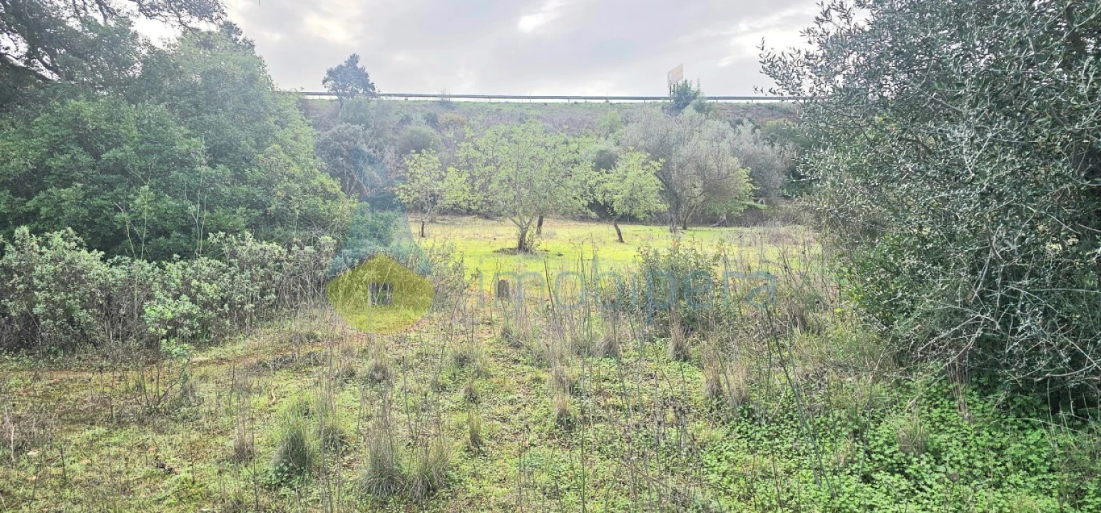 Terreno Agricola ou Rústico para Venda em Paderne Foto 1