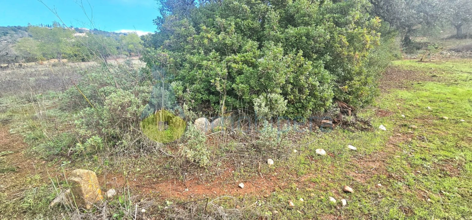 Terreno Agricola ou Rústico para Venda em Paderne Foto 3