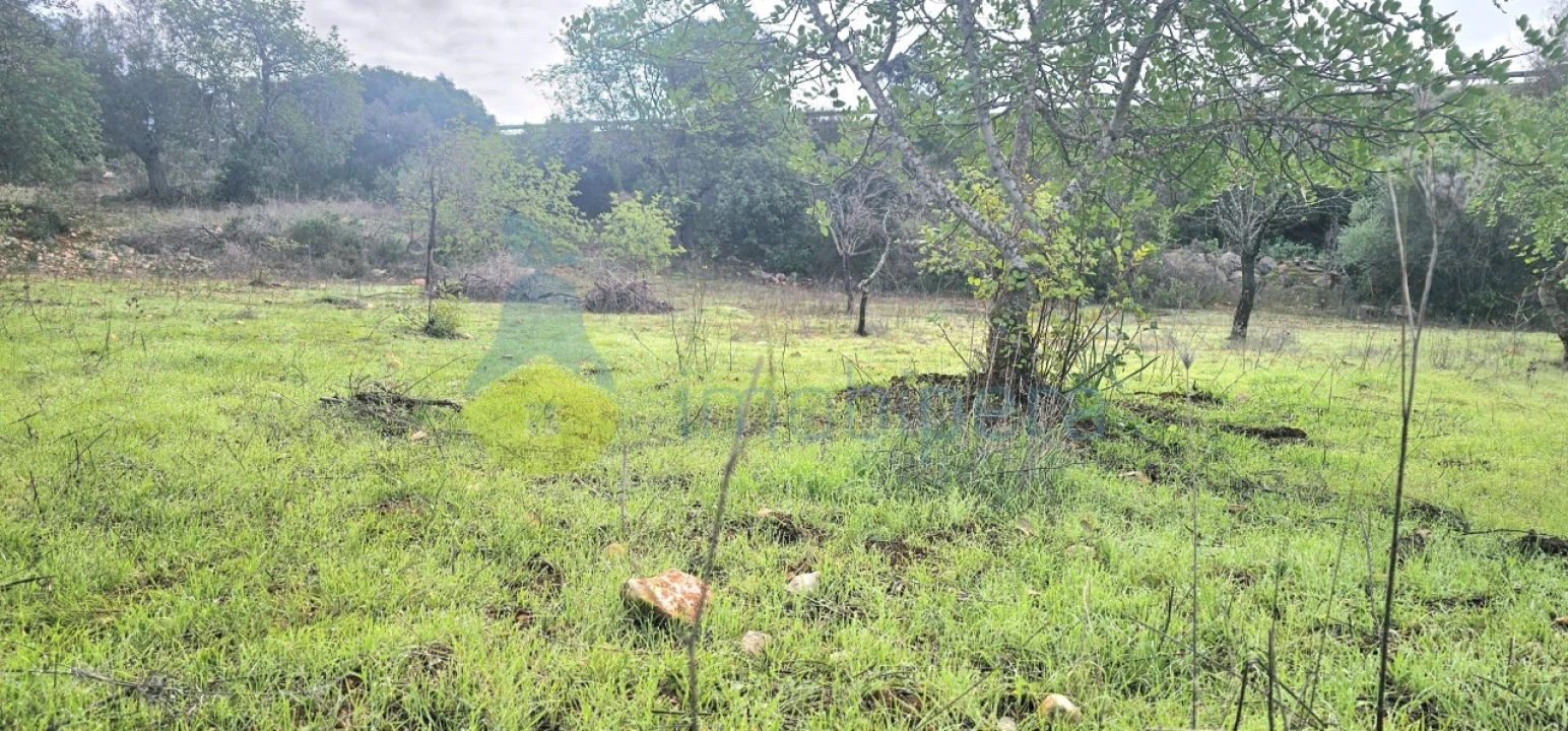 Terreno Agricola ou Rústico para Venda em Paderne Foto 5