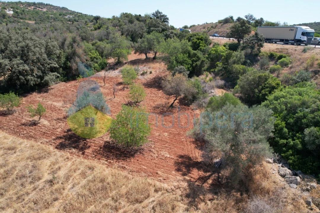 Terreno Agricola ou Rústico para Venda em Paderne Foto 7