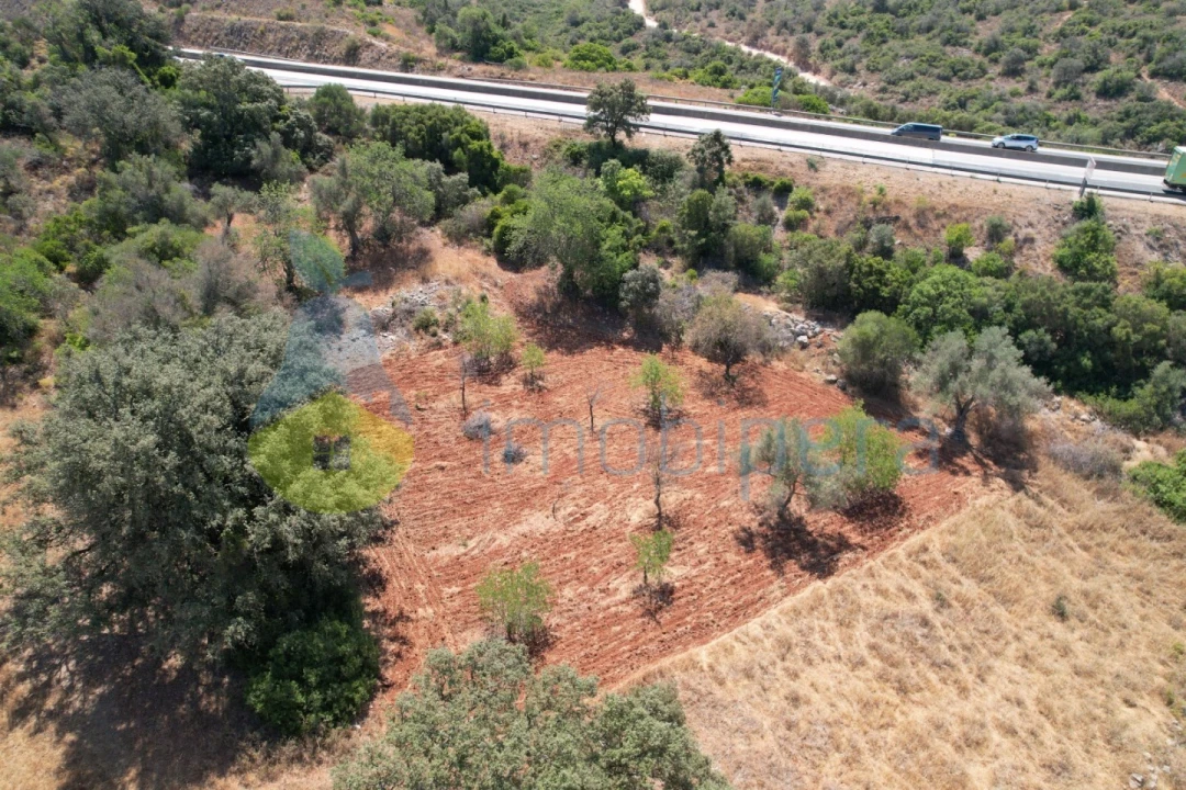 Terreno Agricola ou Rústico para Venda em Paderne Foto 8