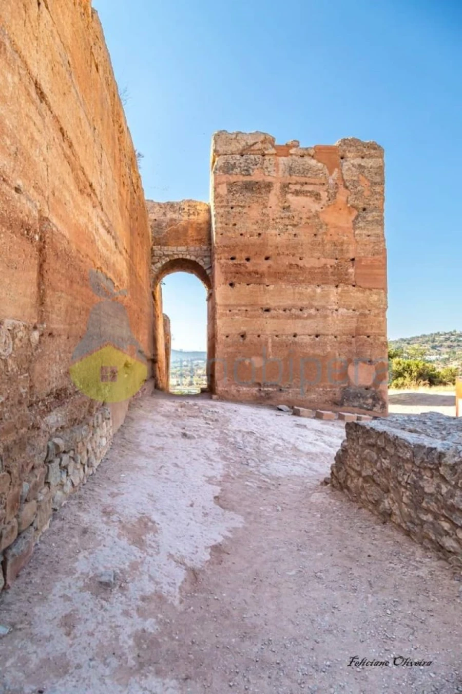 Terreno Agricola ou Rústico para Venda em Paderne Foto 9