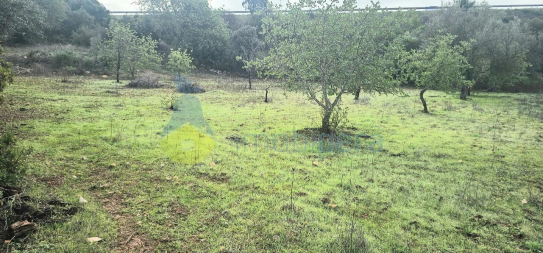 Terreno Agricola ou Rústico para Venda em Paderne Foto 2