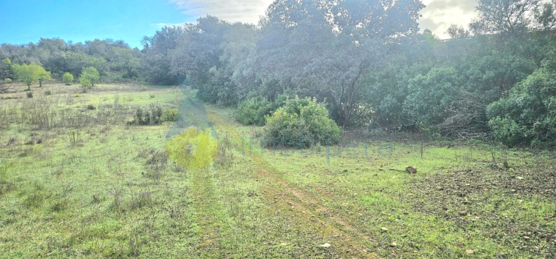 Terreno Agricola ou Rústico para Venda em Paderne Foto 4