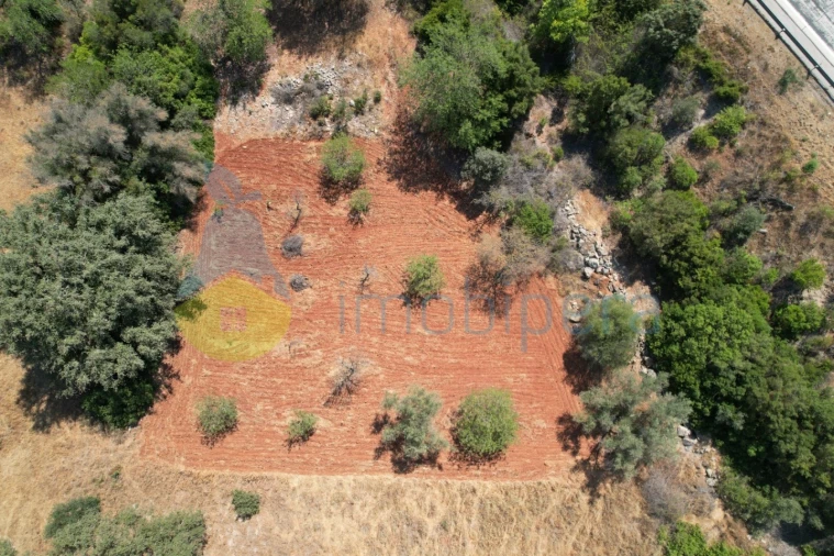 Terreno Agricola ou Rústico para Venda em Paderne Foto 6