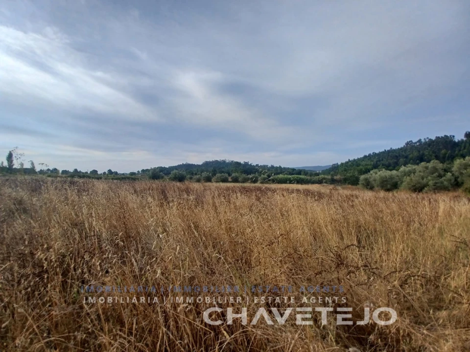 Quinta para Venda em Serra e Junceira Foto 9