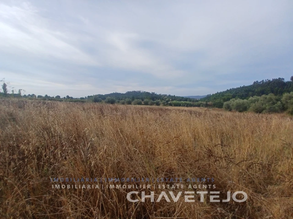 Quinta para Venda em Serra e Junceira Foto 10