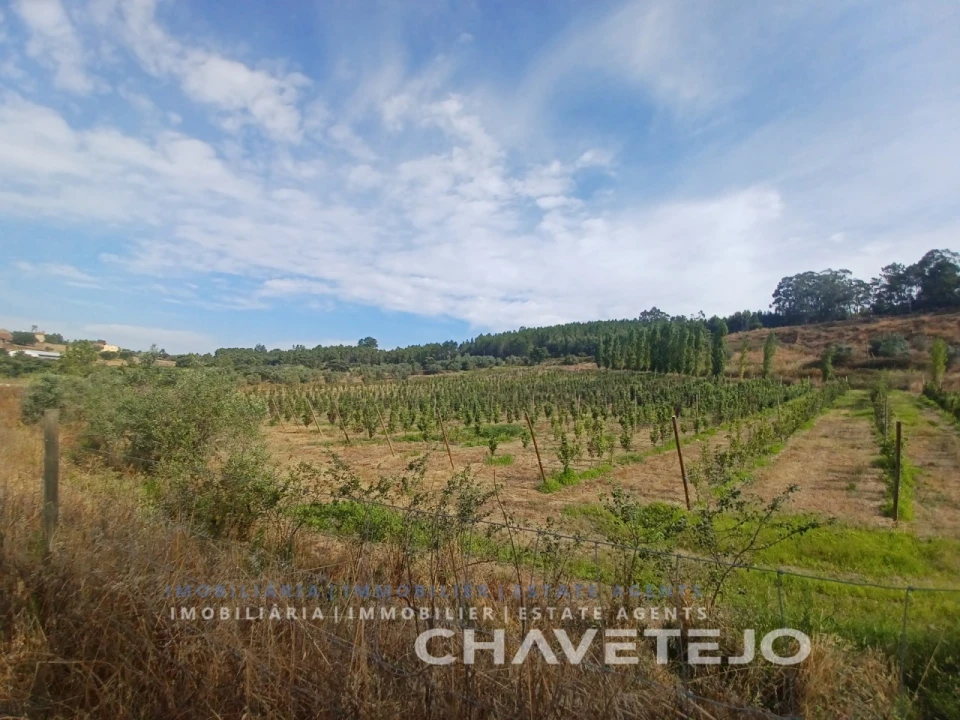 Quinta para Venda em Serra e Junceira Foto 1