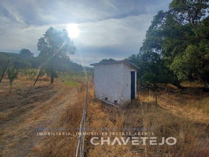 Quinta para Venda em Serra e Junceira Foto 7