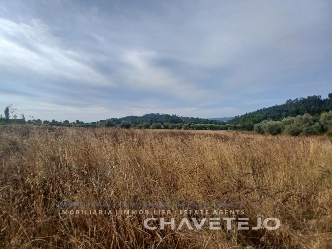 Quinta para Venda em Serra e Junceira Foto 9