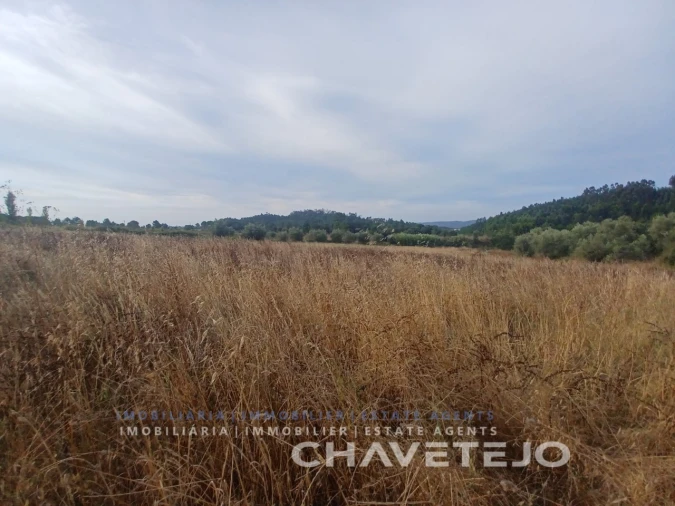 Quinta para Venda em Serra e Junceira Foto 10