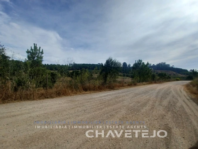 Quinta para Venda em Serra e Junceira Foto 16