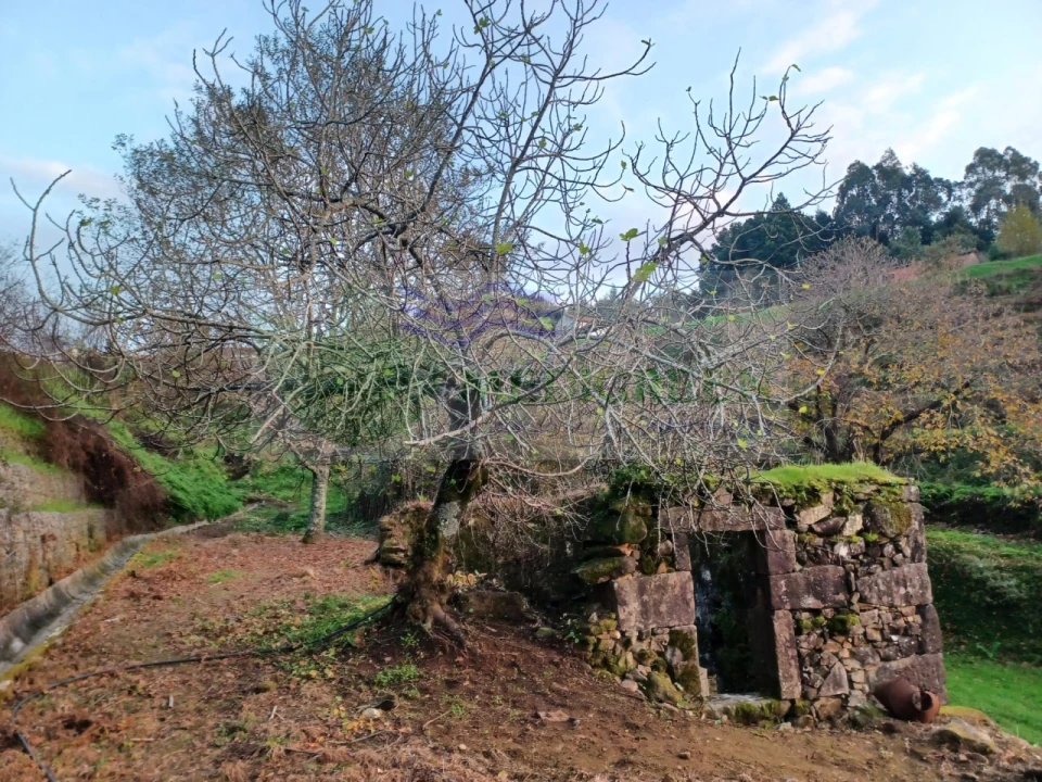 Moradia T5 para Venda em Cedrim e Paradela Foto 38