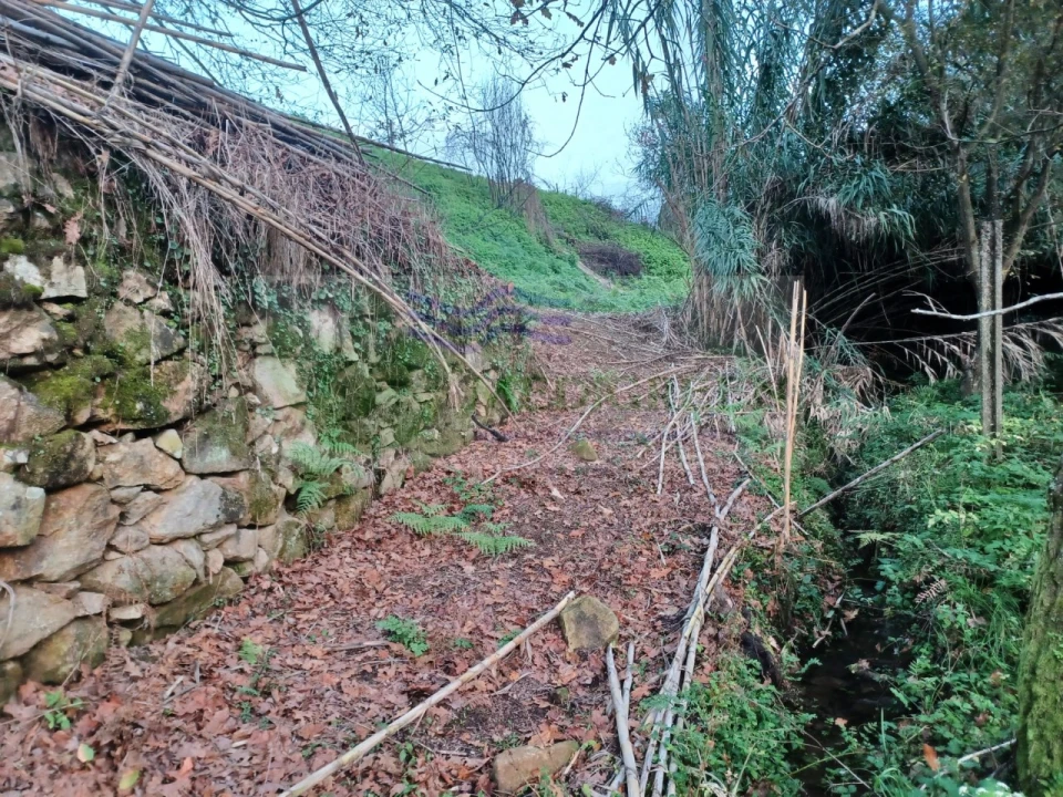 Moradia T5 para Venda em Cedrim e Paradela Foto 42