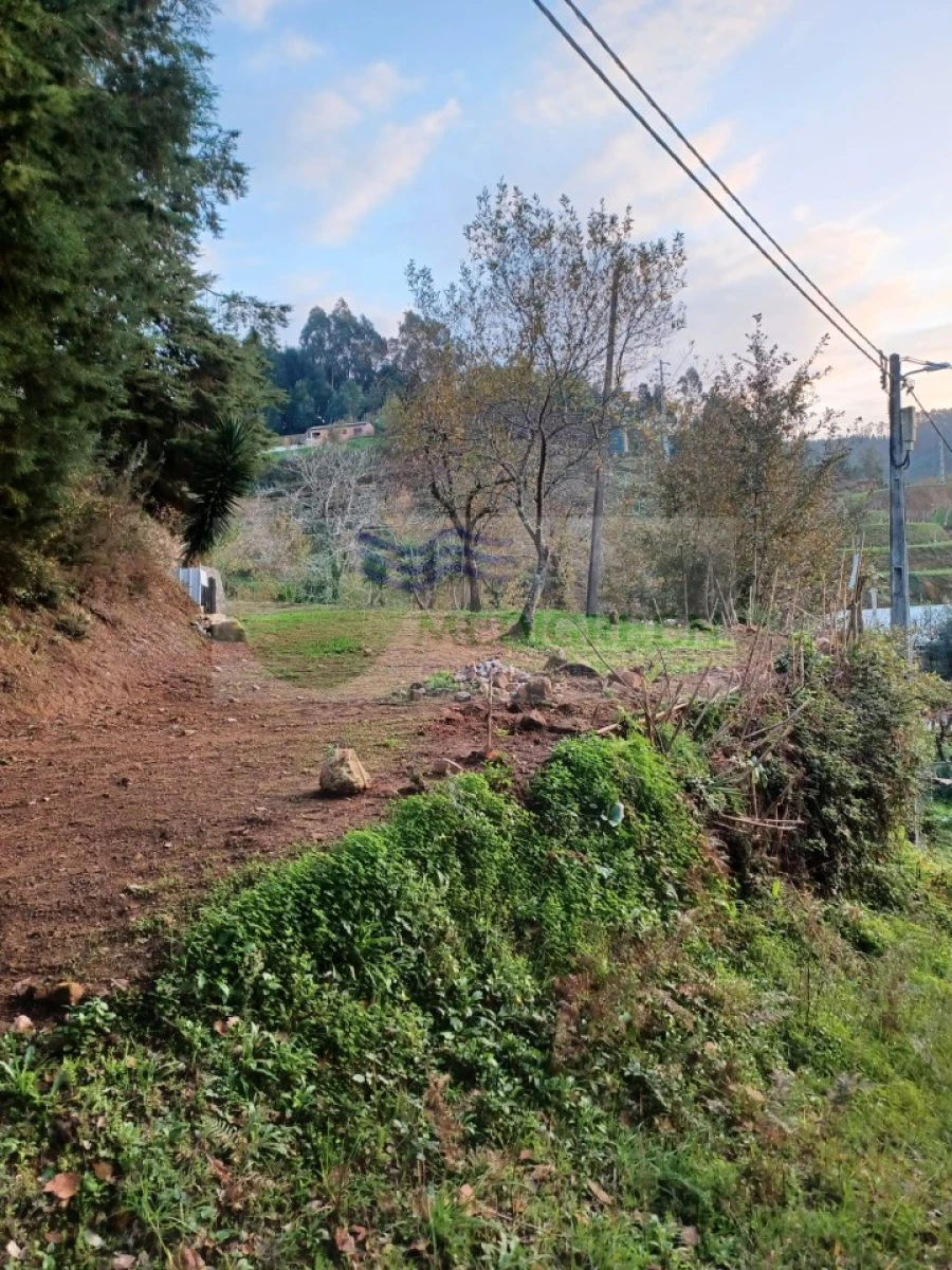 Moradia T5 para Venda em Cedrim e Paradela Foto 39