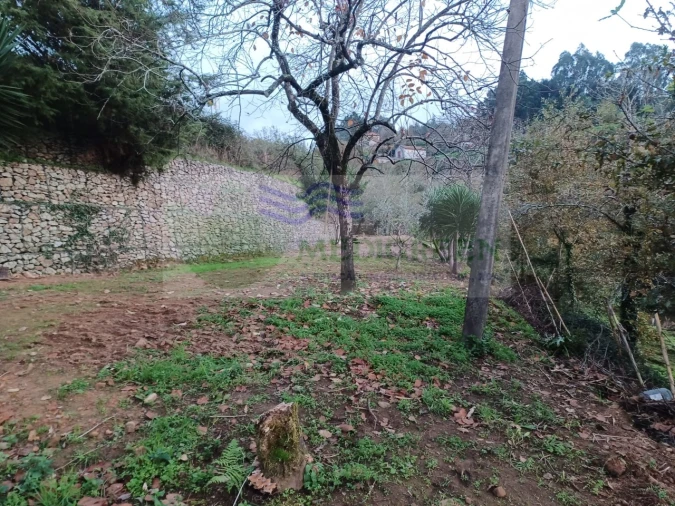 Moradia T5 para Venda em Cedrim e Paradela Foto 41