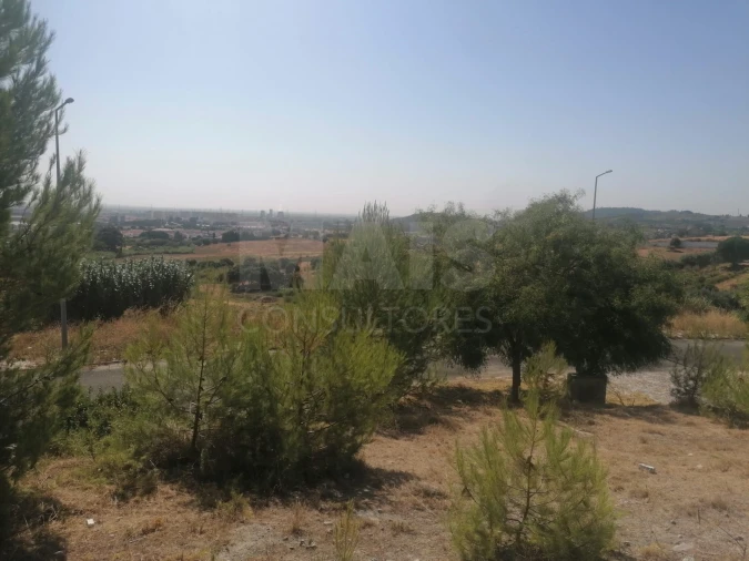 Terreno para Venda em Alenquer (Santo Estêvão e Triana) Foto 3