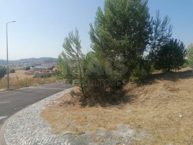 Terreno para Venda em Alenquer (Santo Estêvão e Triana) Foto 6