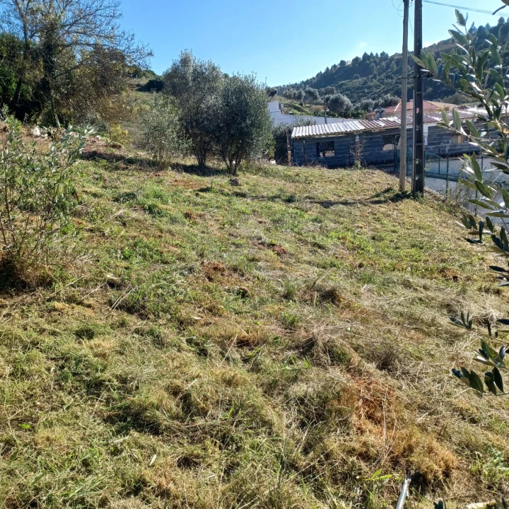 Terreno para Venda em Abrigada e Cabanas de Torres Foto 2