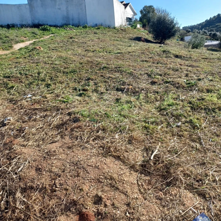 Terreno para Venda em Abrigada e Cabanas de Torres Foto 1