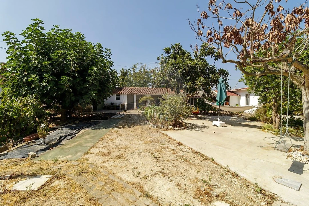 Moradia T4 para Venda em Asseiceira Foto 24