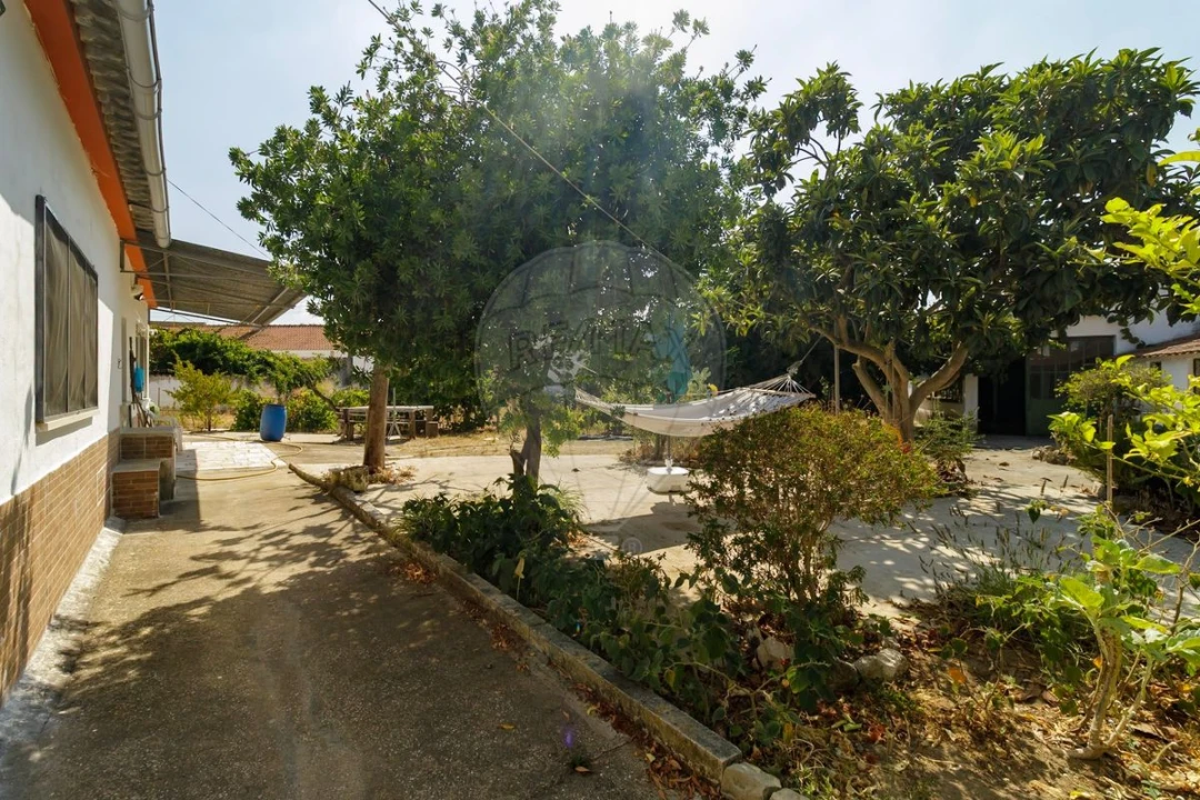 Moradia T4 para Venda em Asseiceira Foto 23