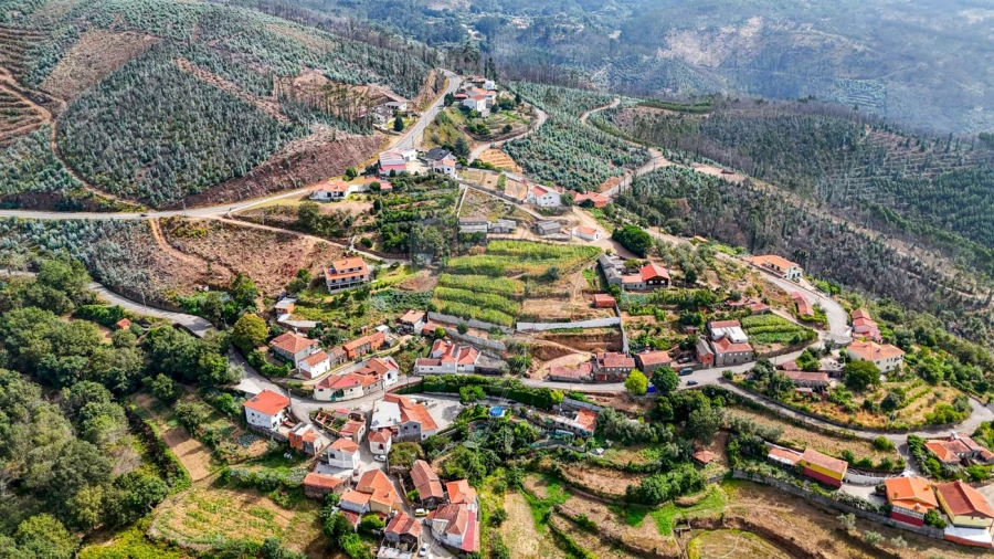 Moradia T3 para Venda em Talhadas Foto 31