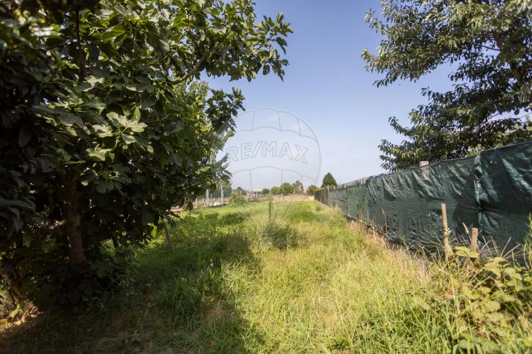 Moradia T3 para Venda em Marinhais Foto 28