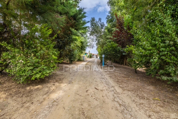 Moradia T2 para Venda em Cela Foto 10