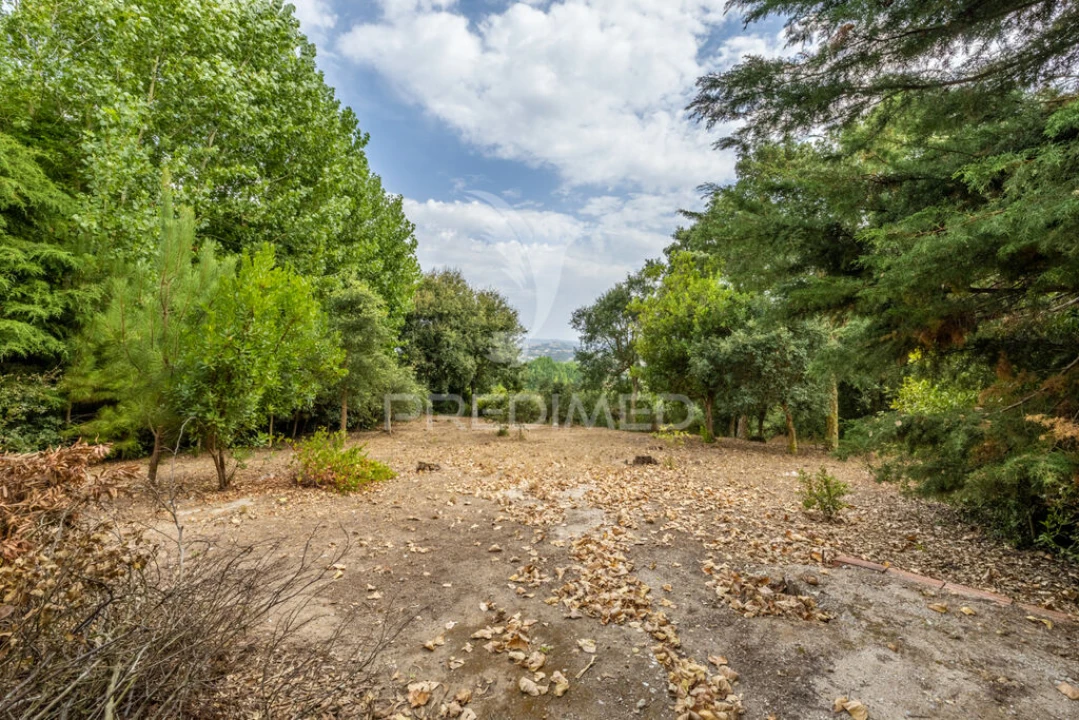 Moradia T2 para Venda em Cela Foto 11