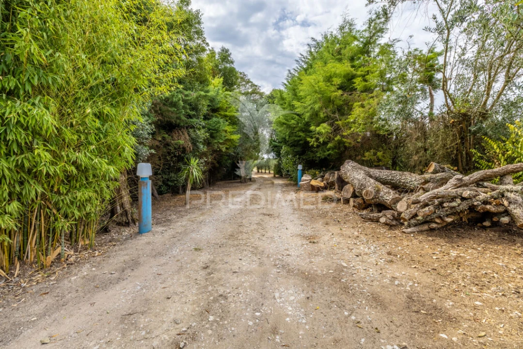 Moradia T2 para Venda em Cela Foto 12