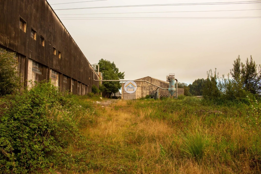 Armazém para Venda em Sanguedo Foto 5