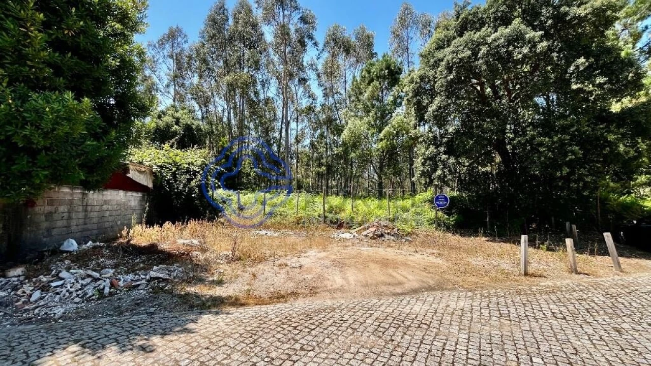 Terreno para Venda em Canelas Foto 4