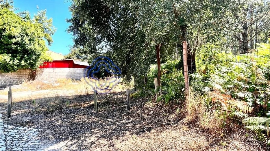 Terreno para Venda em Canelas Foto 2