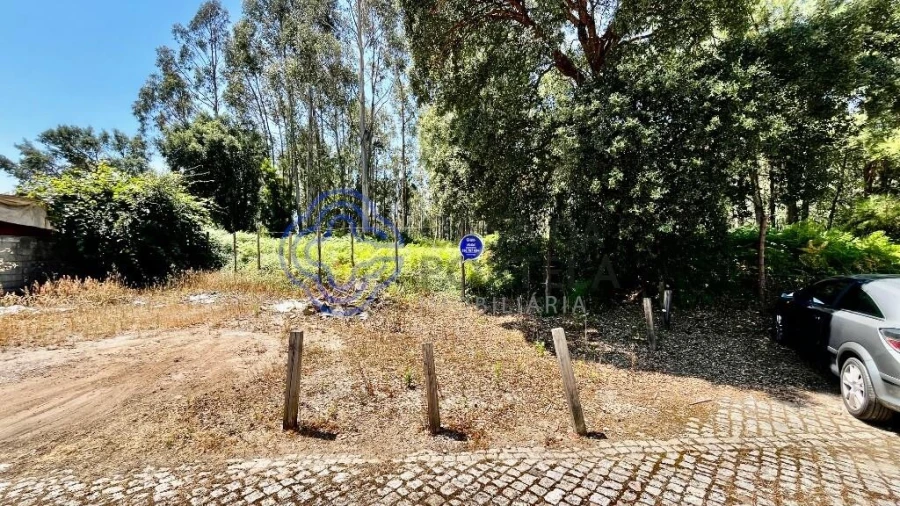 Terreno para Venda em Canelas Foto 3