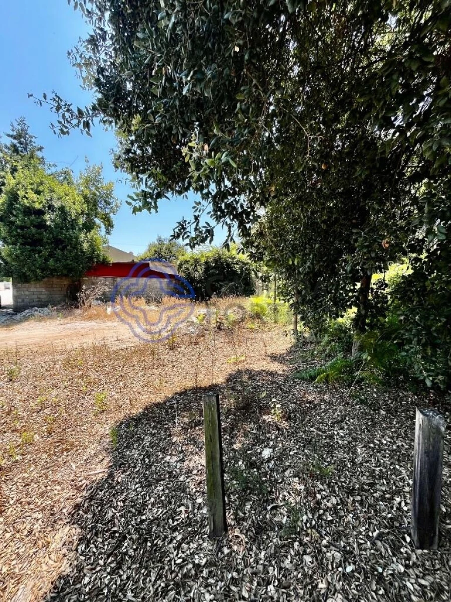 Terreno para Venda em Canelas Foto 7