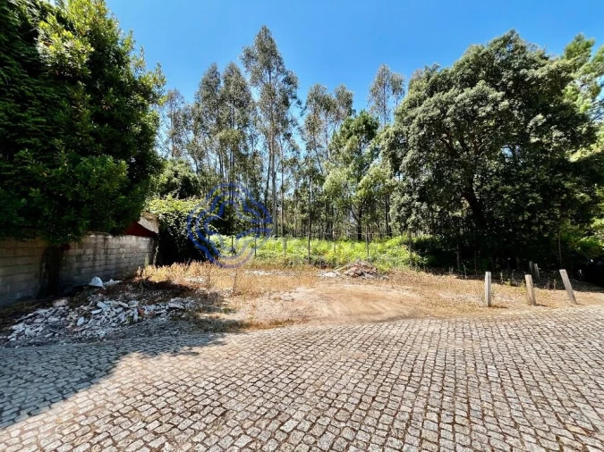 Terreno para Venda em Canelas Foto 6