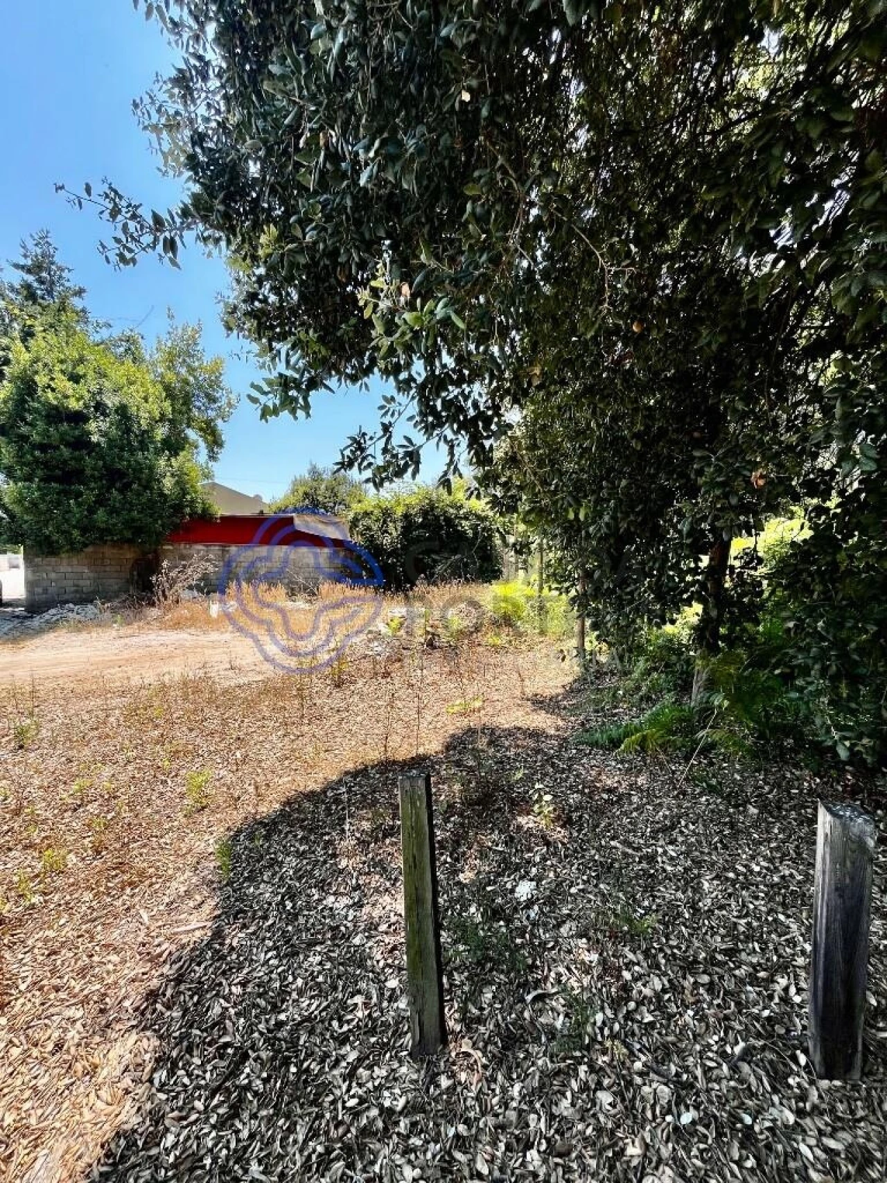 Terreno para Venda em Canelas Foto 7