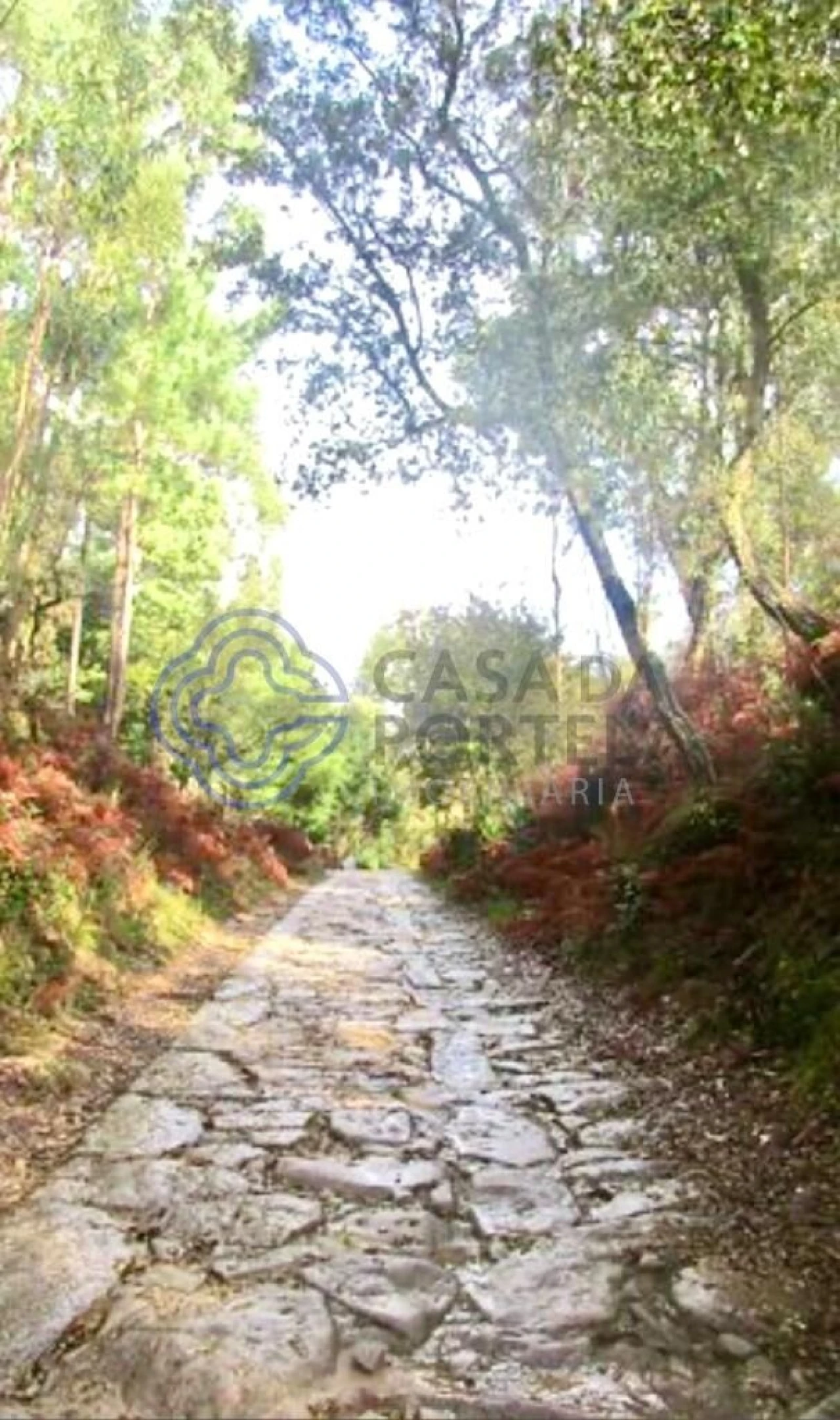 Terreno para Venda em Canelas Foto 13