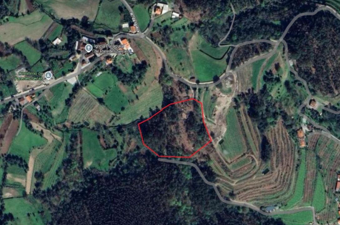 Terreno para Venda em Vilela, Seramil e Paredes Secas Foto 5