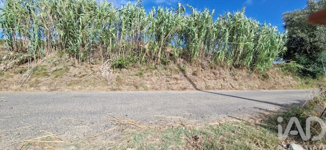 Terreno para Venda em Enxara do Bispo, Gradil e Vila Franca do Rosário Foto 19