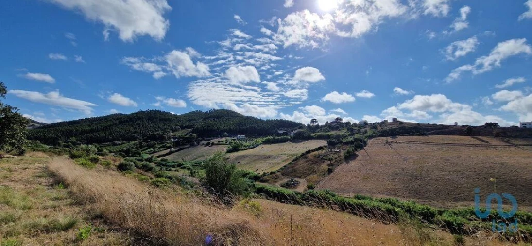 Terreno para Venda em Enxara do Bispo, Gradil e Vila Franca do Rosário Foto 9