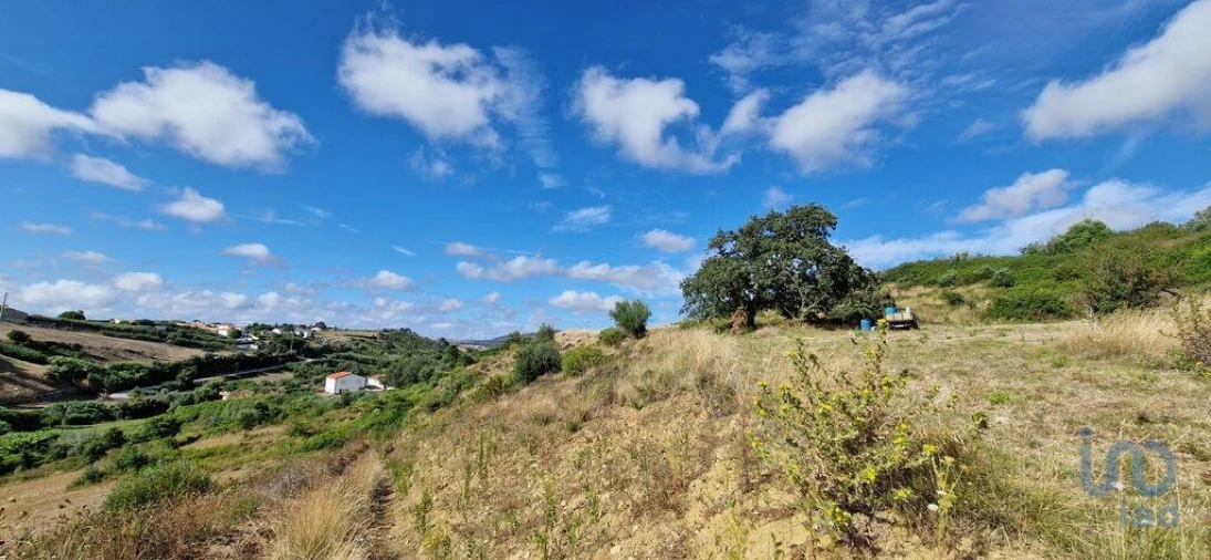 Terreno para Venda em Enxara do Bispo, Gradil e Vila Franca do Rosário Foto 8