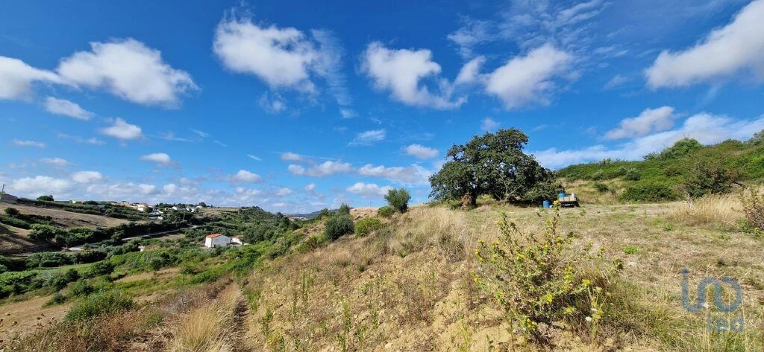 Terreno para Venda em Enxara do Bispo, Gradil e Vila Franca do Rosário Foto 8