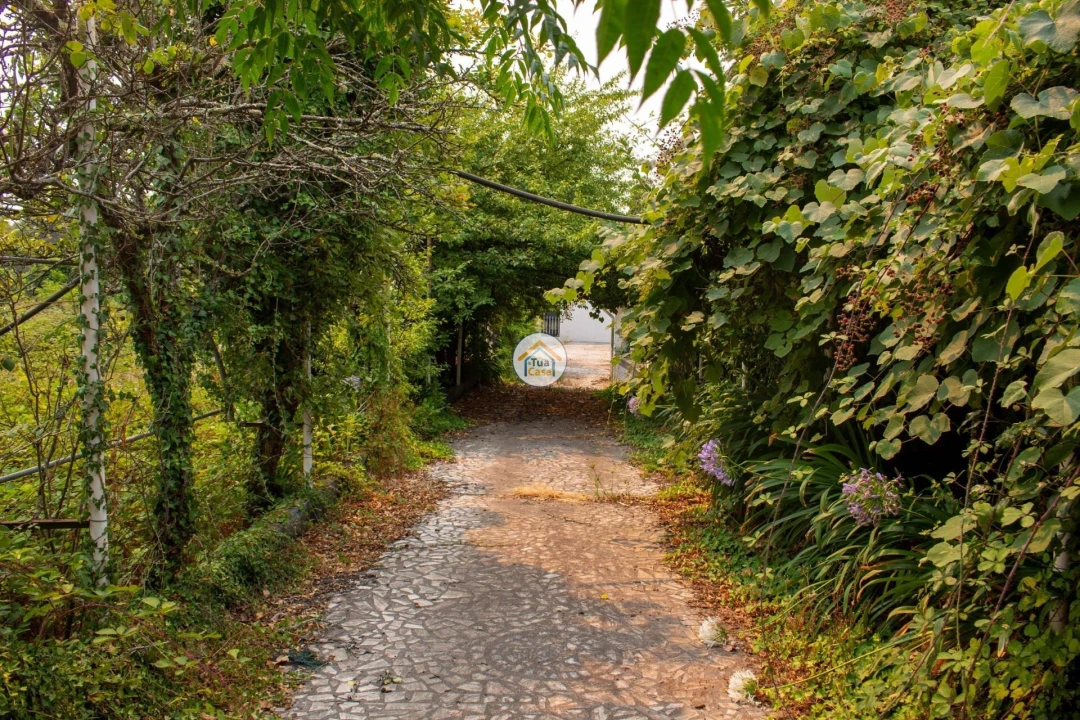 Moradia T3 para Venda em Sanguedo Foto 10