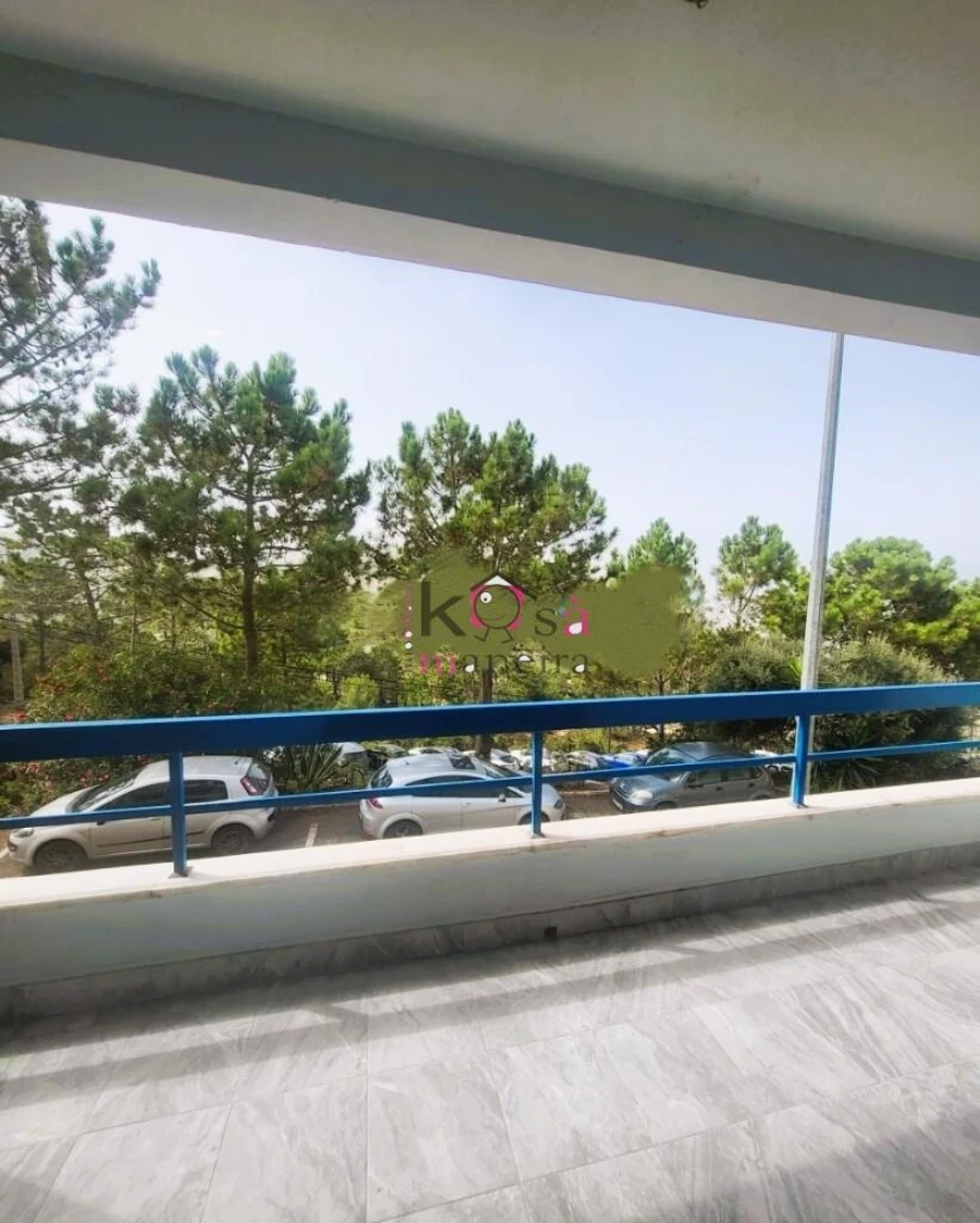 Apartamento T1 para Venda em Santa Maria e São Miguel, São Martinho, São Pedro Penaferrim Foto 6