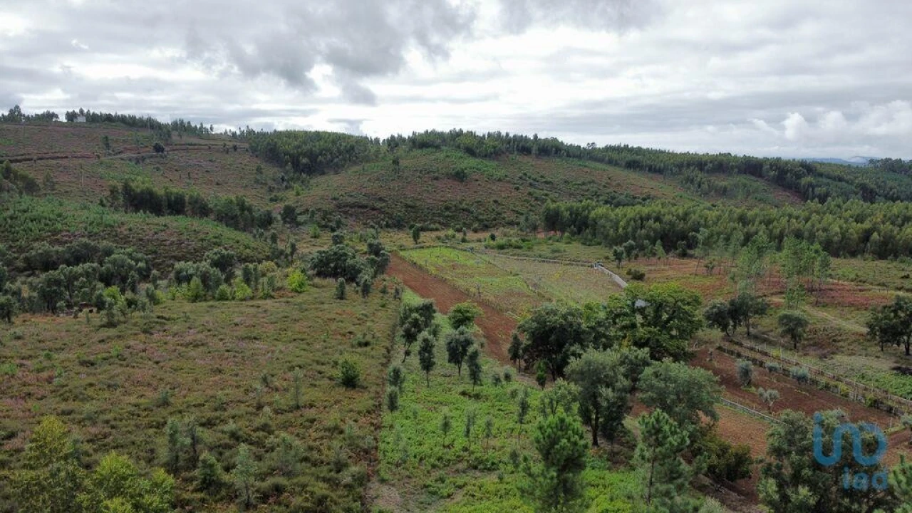 Moradia T5 para Venda em Sertã Foto 5