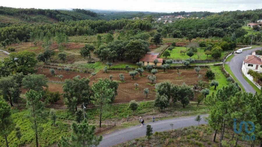 Moradia T5 para Venda em Sertã Foto 4